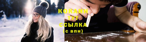 сатива Ступино