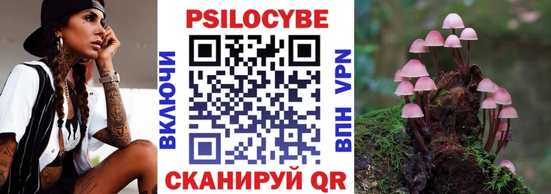 Галлюциногенные грибы прущие грибы  Кедровый 